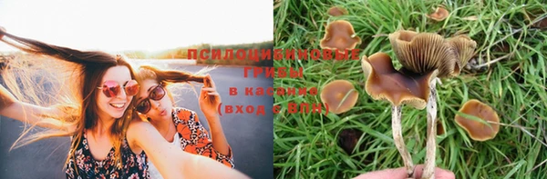 a pvp Балабаново